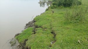 Soil erosion in Afala, Charaipara, Ligiribari Marisuti Desangmukh